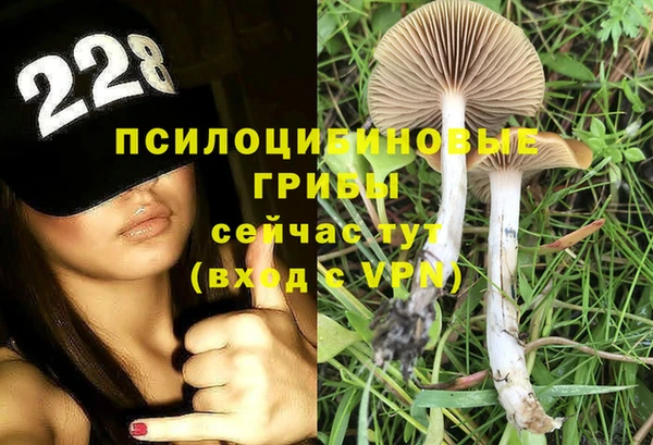 ешки Наволоки